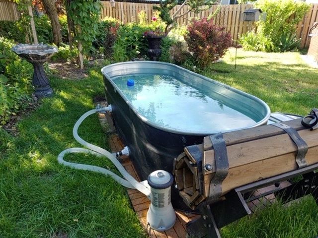 Horse 2024 trough pool